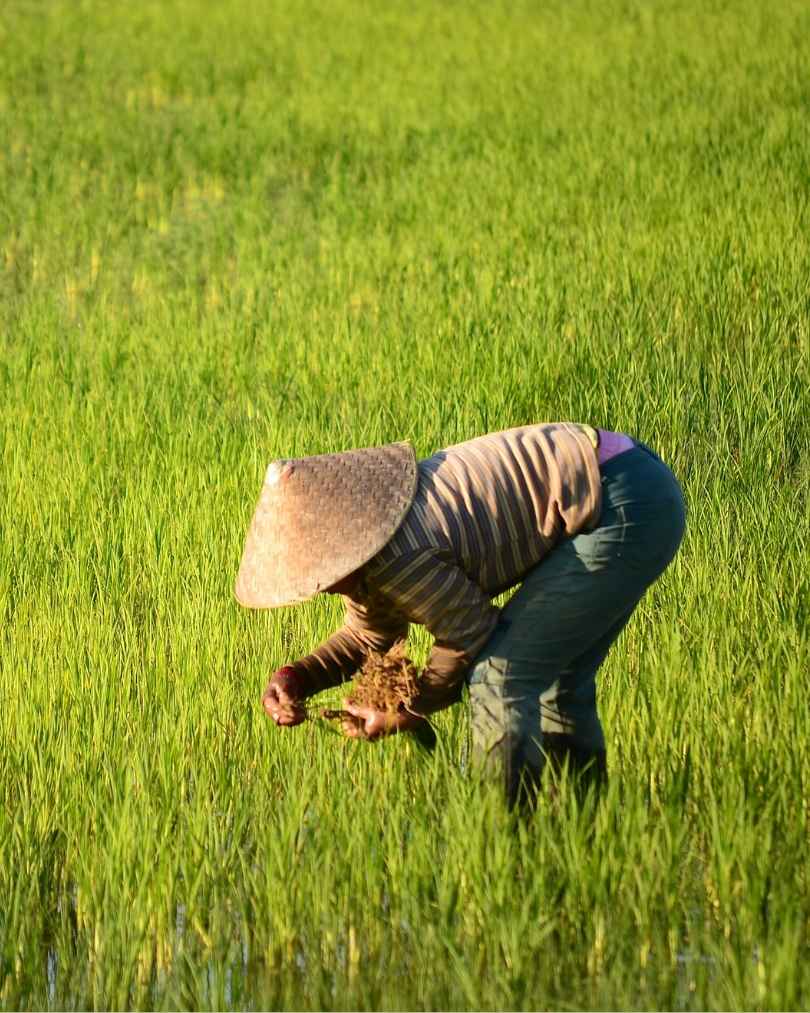 farmpro (4)